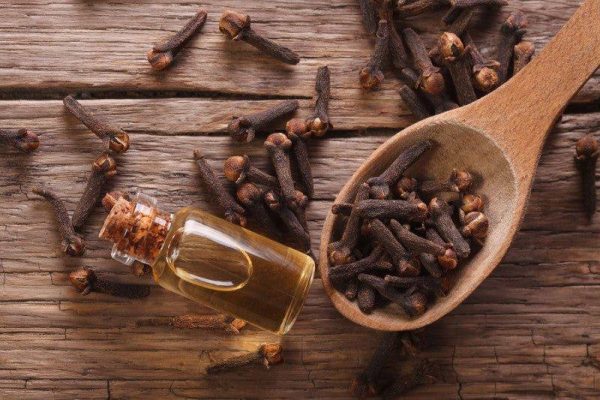 Clove Essential Oil  Eugenol Oil